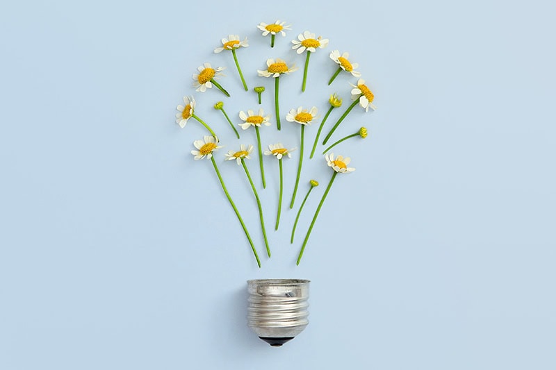 Flowers spread out like a light bulb representing springtime electrical safety tips.
